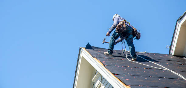 Best Storm Damage Roof Repair  in Corcoran, MN